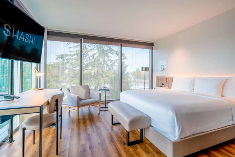 Shashi Hotel Mountain View, An Urban Resort, photo 4