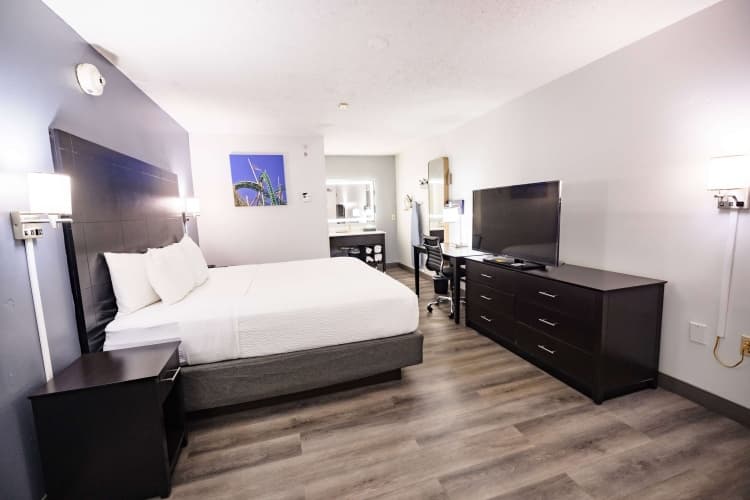 La Quinta Inn by Wyndham Tampa Near Busch Gardens, photo 4
