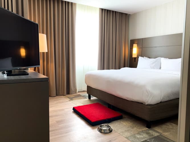 Residence Inn Merida photo 4