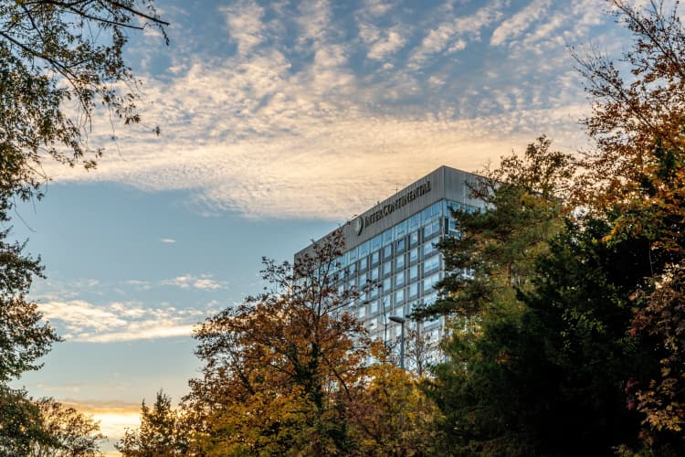 Intercontinental Geneva photo 2