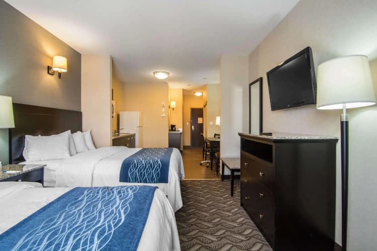Comfort Inn & Suites photo 4