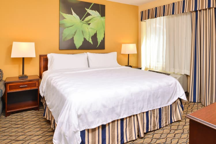 Holiday Inn and Suites Chicago Downtown photo 5