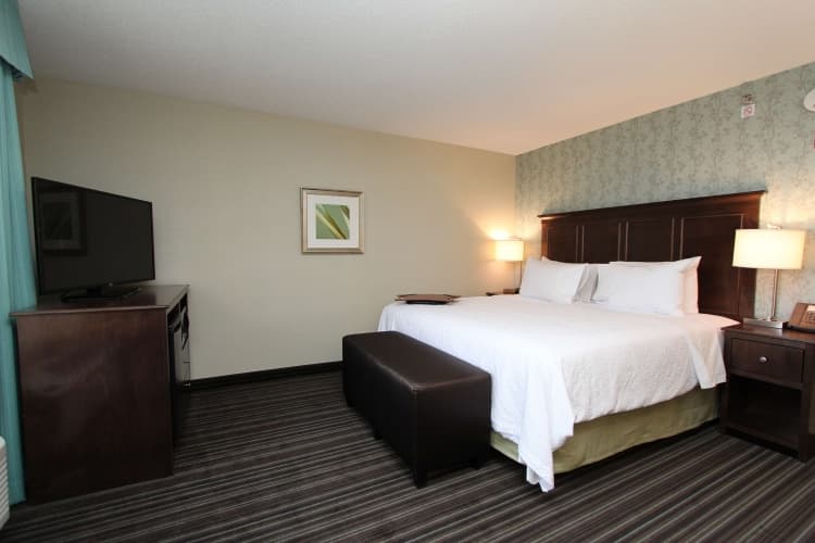 Hampton Inn & Suites by Hilton St. John's Airport, photo 5
