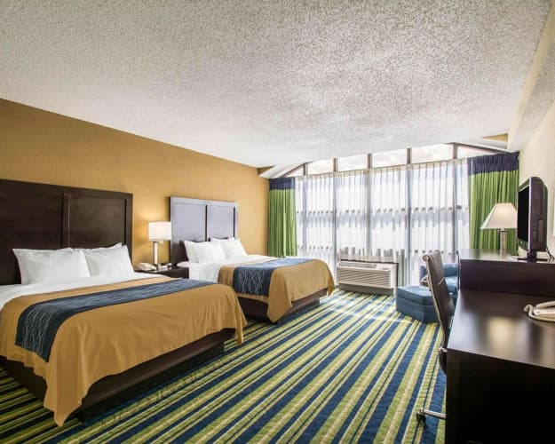 Comfort Inn & Suites Lantana West Palm Beach South photo 5