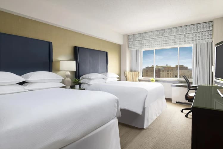 The Stamford Hotel photo 5