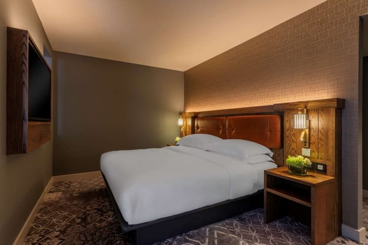 Hyatt Centric The Liberties Dublin, photo 5