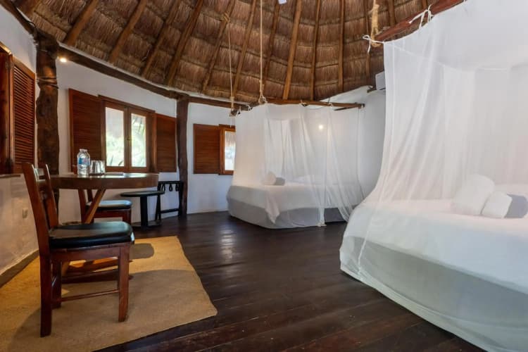 Blue Holbox photo 5