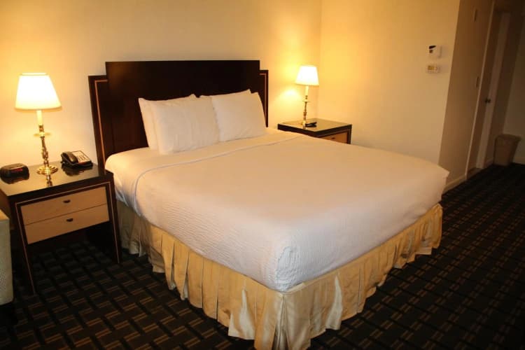 Bedford Plaza Hotel - Boston photo 5