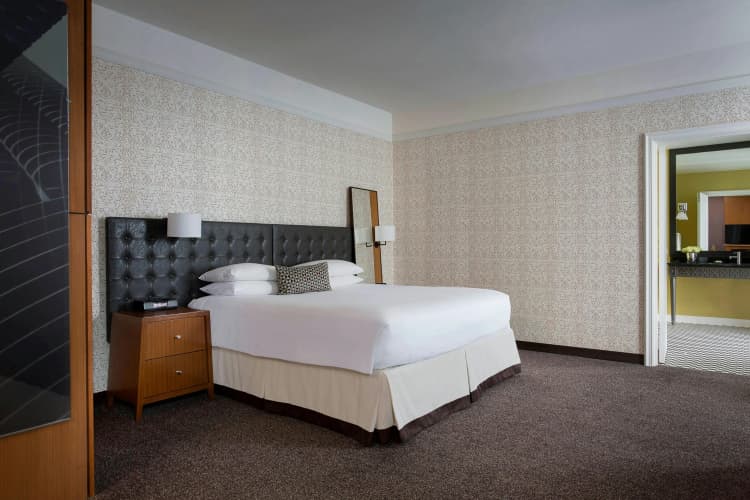 Hotel Chicago Downtown, Autograph Collection photo 5