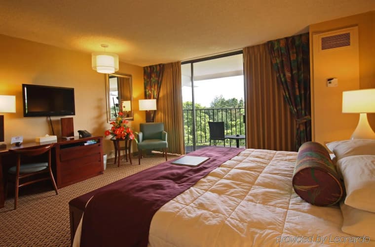 Castle Hilo Hawaiian Hotel photo 4