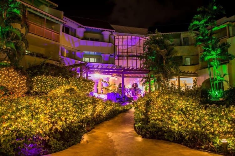 Bougainvillea Barbados photo 2
