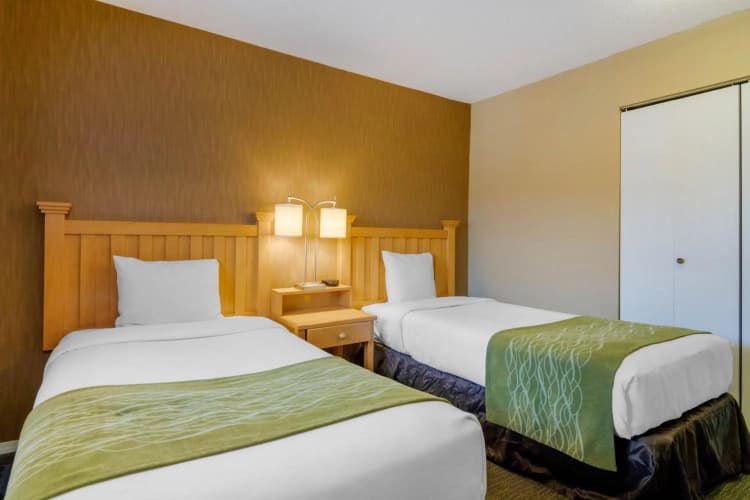 Econo Lodge Inn & Suites photo 4