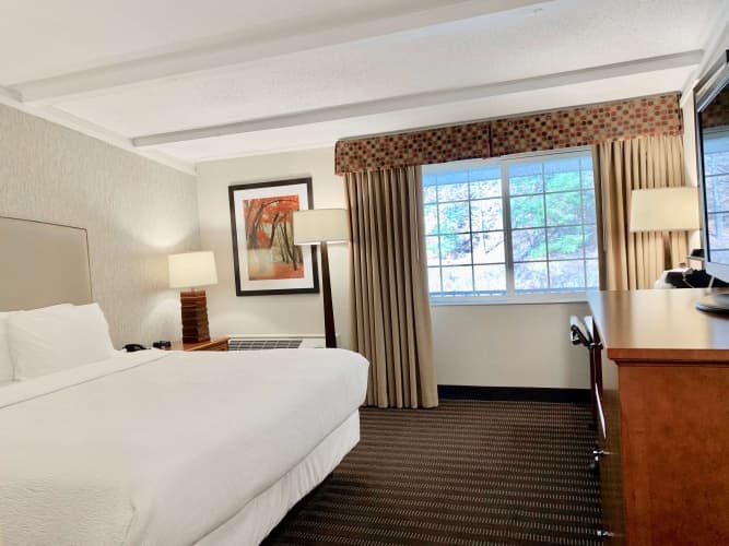Best Western Springfield Hotel photo 5