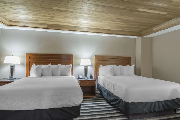 Quality Inn West Edmonton photo 5
