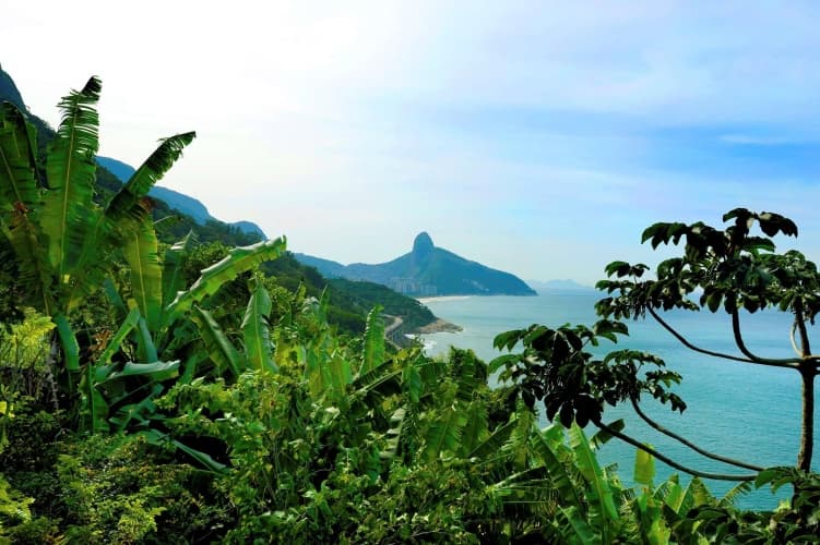 Grand Hyatt Rio De Janeiro, photo 2