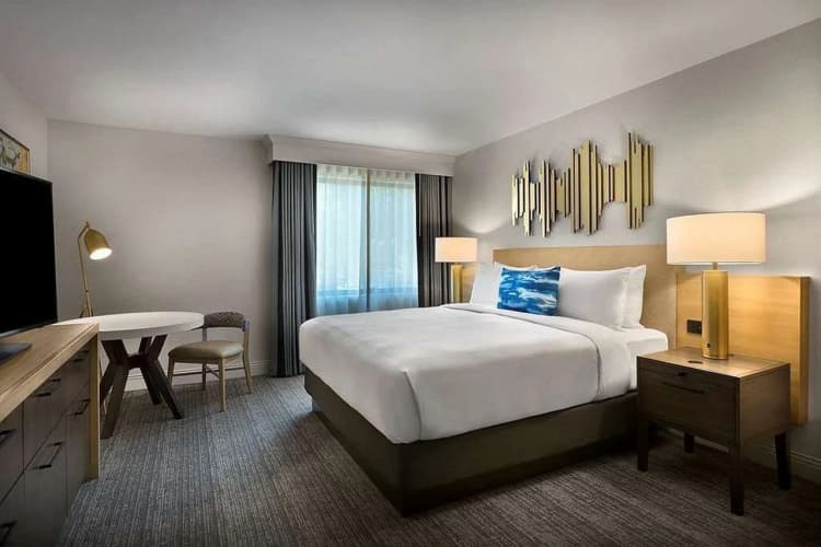 Sonesta Silicon Valley, photo 5