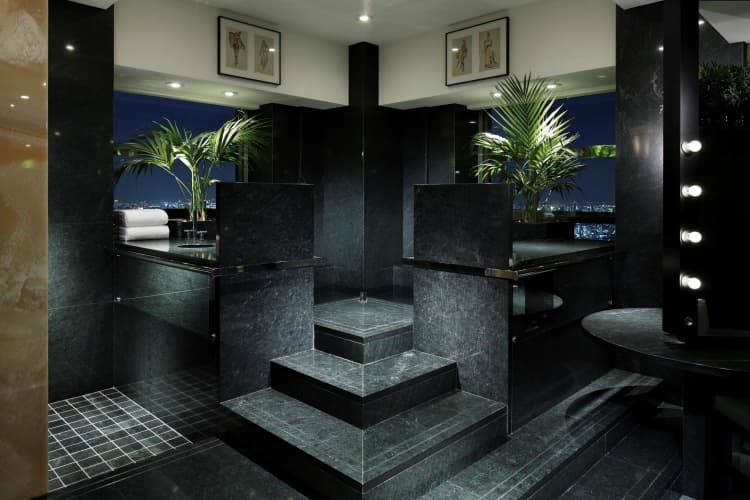 Park Hyatt Tokyo, photo 3