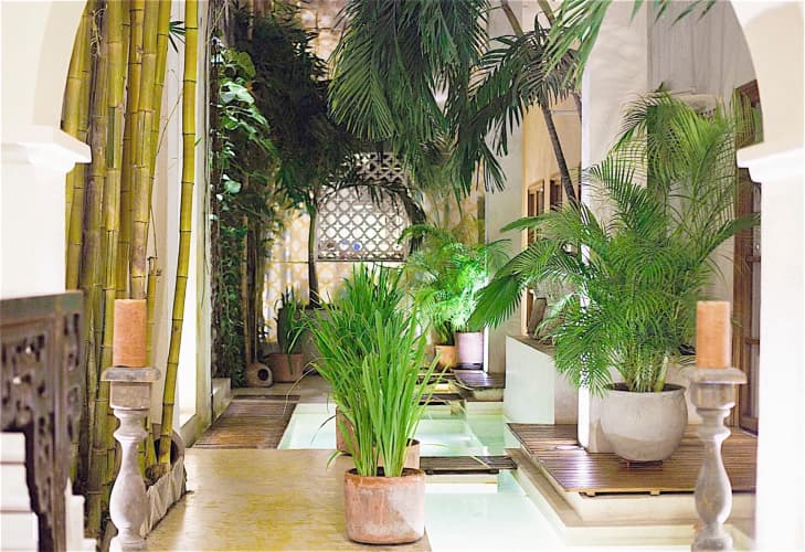Casa Lola Luxury Collection photo 3