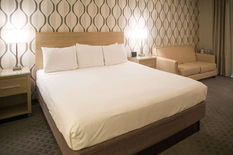 Radisson Hotel Duluth-Harborview photo 5