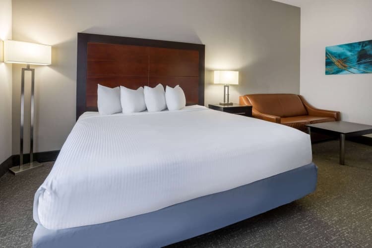 Wingate by Wyndham Atlanta Galleria/Ballpark, photo 5