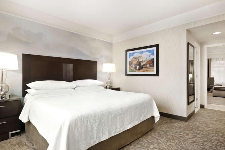 Embassy Suites by Hilton Chicago North Shore Deerfield photo 3