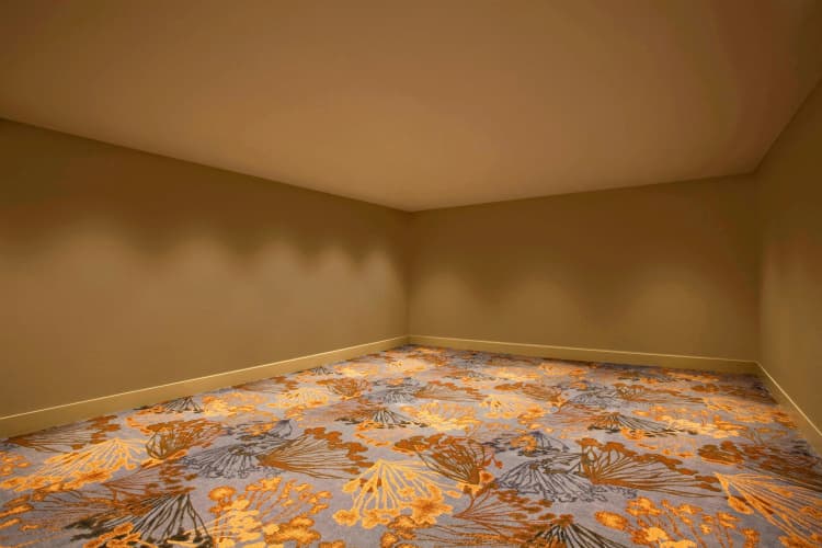 The Westin Peachtree Plaza Atlanta photo 5