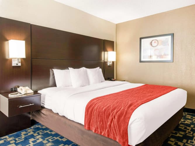 Comfort Inn & Suites Near Universal Orlando Resort photo 4