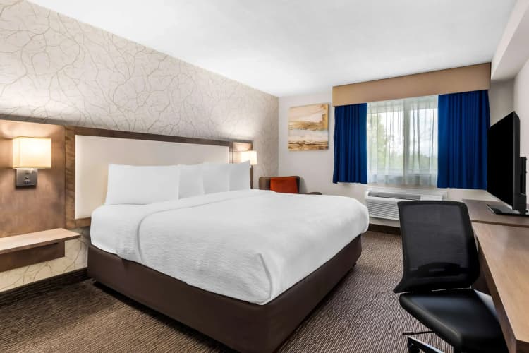 Best Western Halton Hills photo 4