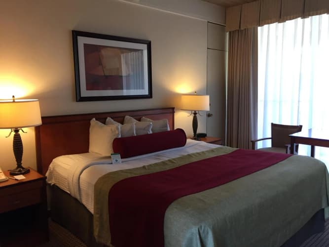 Mikado Hotel (Ex-Best Western) photo 4