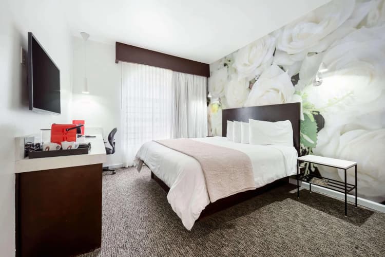 21C Museum Hotel Cincinnati photo 3