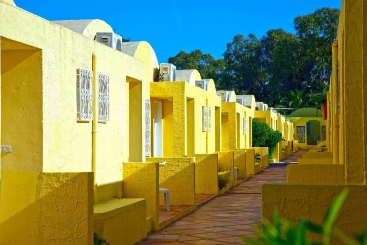 Samira Club photo 2