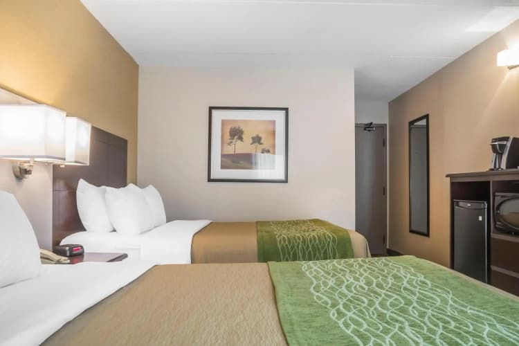 Comfort Inn Chatham photo 4