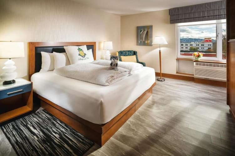 Watertown Hotel - A Staypineapple Hotel photo 5