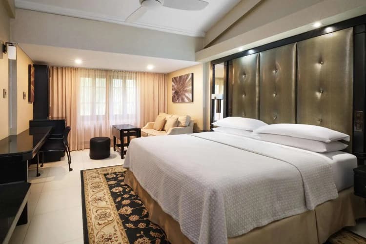 Terra Nova All Suite Hotel photo 5