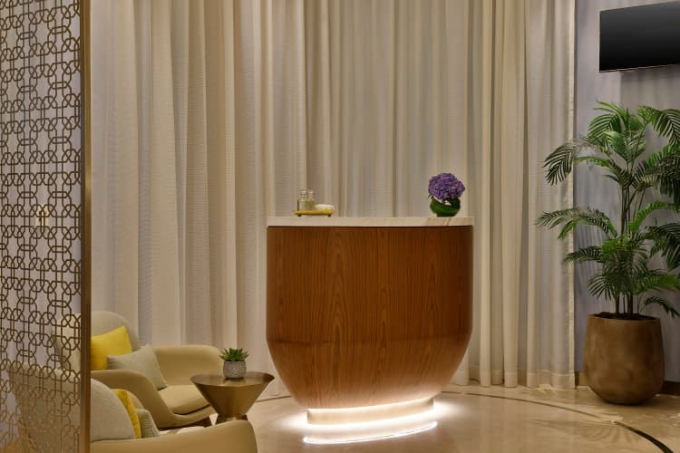 Embassy Suites by Hilton Dubai Business Bay photo 3
