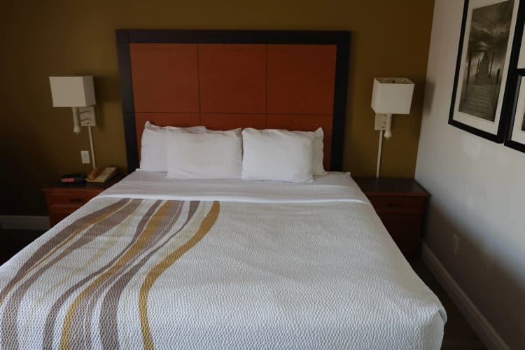 La Quinta Inn & Suites by Wyndham Ocala photo 4