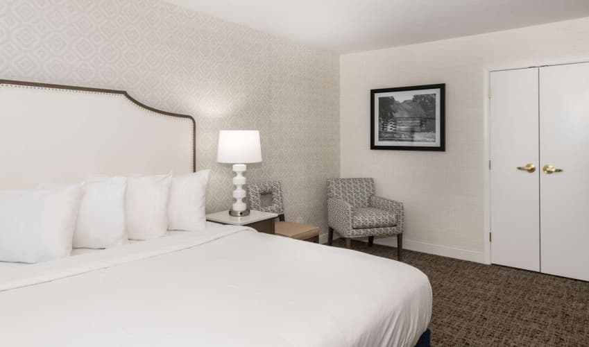 Embassy Suites by Hilton Philadelphia Valley Forge, photo 4
