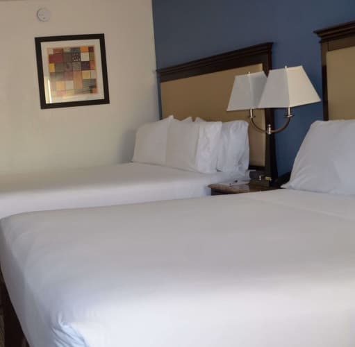 Radisson Hotel Schaumburg, photo 5