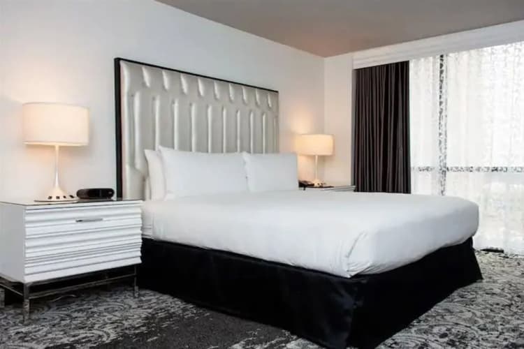 DoubleTree by Hilton Hotel Tallahassee photo 4