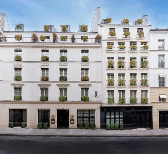 Burgundy photo 2