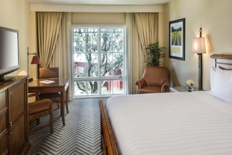 Hyatt Regency Hill Country Resort and Spa, photo 4