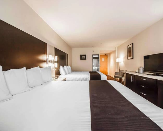 Quality Hotel Airport (South) photo 4