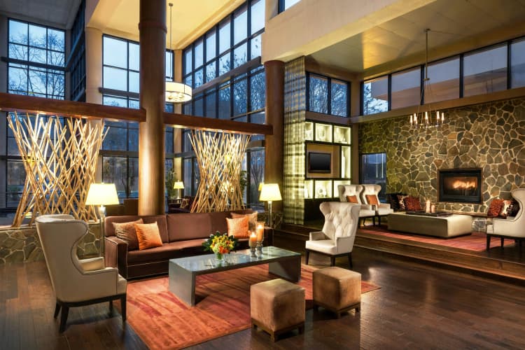 Sheraton Charlotte Airport Hotel photo 3