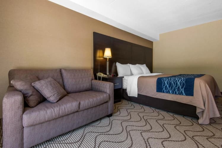 Comfort Inn Airport North Bay photo 5
