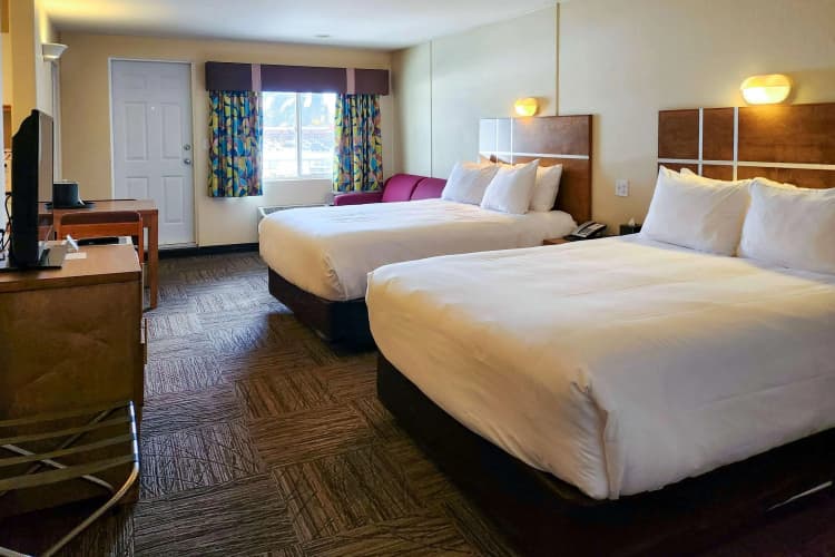 Quality Inn Suites Clearwater photo 4