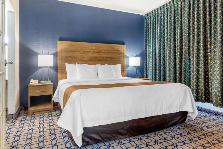 Quality Suites Whitby photo 5