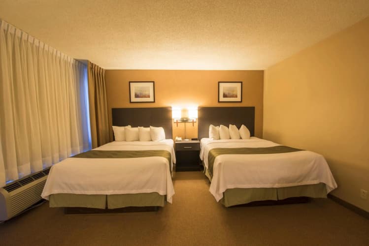 Quality Inn & Suites P.E. Trudeau Airport photo 3