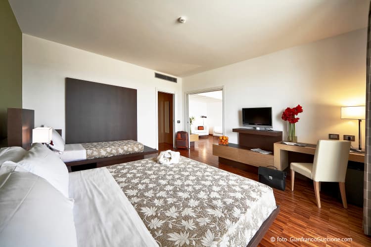 Eureka Palace Hotel Spa Resort photo 5
