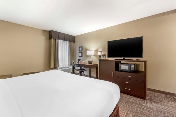 Comfort Inn & Suites Sea-Tac Airport photo 4