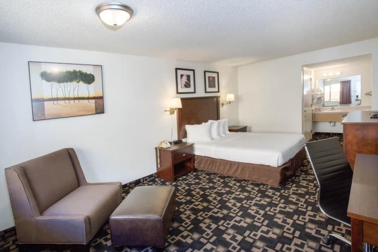Morningglory Inn & Suites photo 4